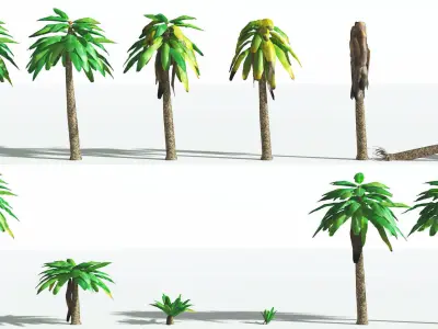 EVERYPlant Bjuvia Cycad LowPoly 3 --12 Models-- Low-poly 3D model