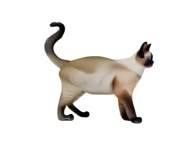 Realistic standing siamese cat with vivid blue eyes Free 3D model