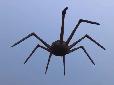 Halloween Toon Spider 3D model