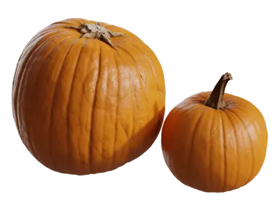  Medium Pumpkin Models Collection 