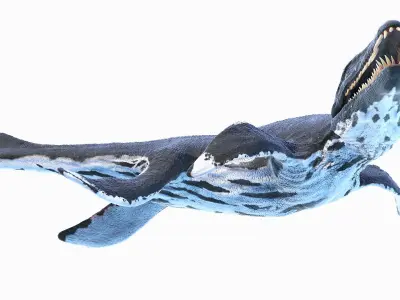 Liopleurodon Animated 3D model