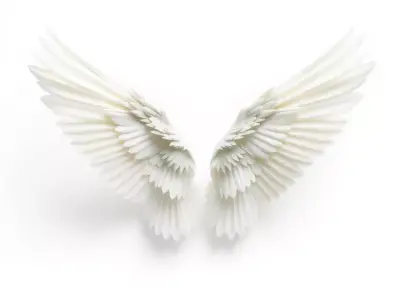 Elegant White Wings model pack Low-poly 3D model