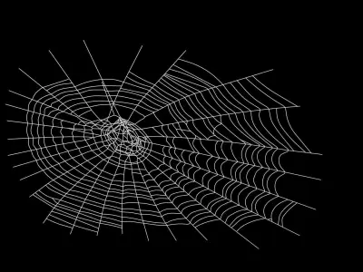 Spider Web 3D model
