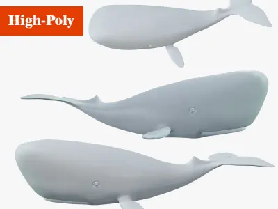 whale without textures sculpture  high-poly  3D model