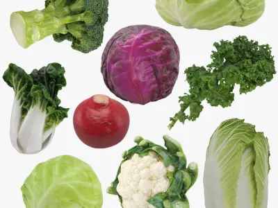 Cruciferous Collection 2 3D model