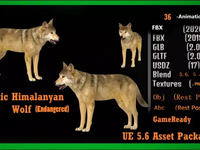 Himalayan Wolf Free low-poly 3D model