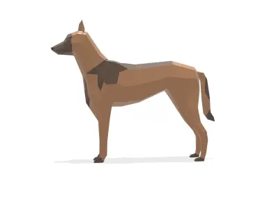Low poly Belgian Malinois 3D model
