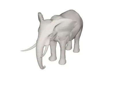 Elephant  3D model