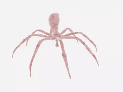 dangerous strange spider 3d model fully detailed and rigged Free 3D model