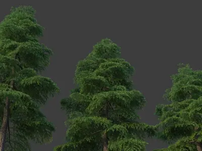 XfrogPlants Himalayan Cedar - Cedrus Deodara  3D model