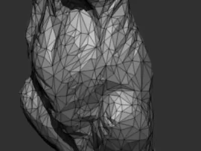 marmot Murmeltier 3D model