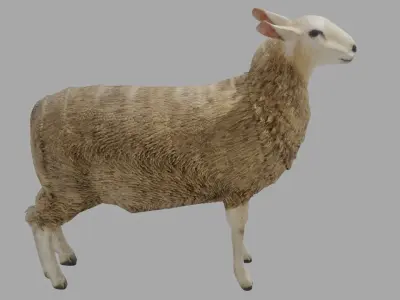 Sheep obj and blend Low-poly 3D model