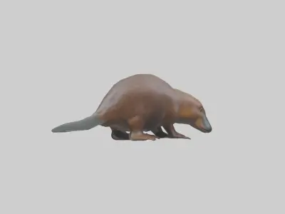 Platypus foraging model Low-poly 3D model