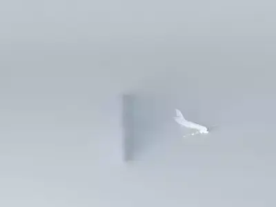 AIRBOUINGUE bird in sky Free 3D model