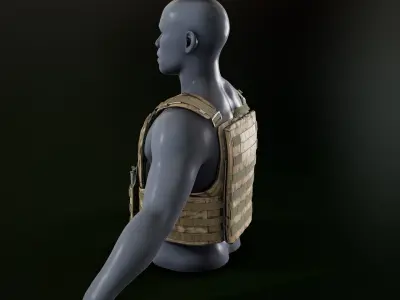 Crye Cage VEST Low-poly 3D model