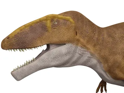 Carcharodontosaurus sahricus Low-poly 3D model