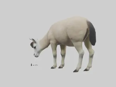 Lama grazing model Low-poly 3D model