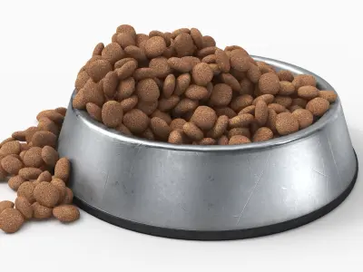 Pet Food Bowl Metal With Food 3D model