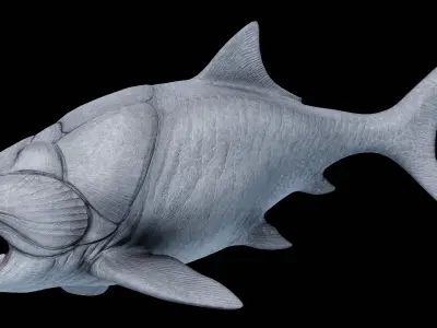 Dunkleosteus Asset Pack Low-poly 3D model