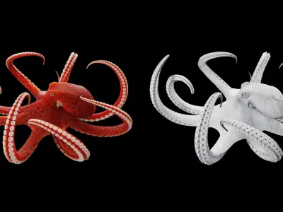 Animated Octopus Low-poly 3D model