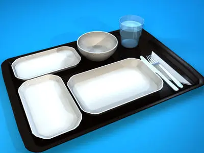 Tray food 3D model