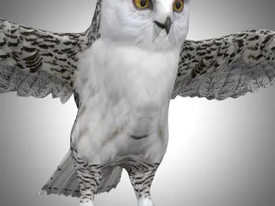  Snowy White Owl Low-poly 3D model