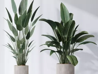 HQ Plants Bird Of ParadiseBird Vase Set01 3D model