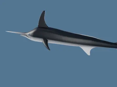 Sword Fish Low-poly 3D model
