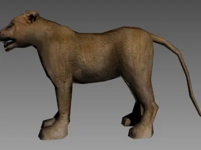 Lioness lion Low-poly 3D model