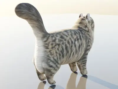Siberian Cat Free 3D model