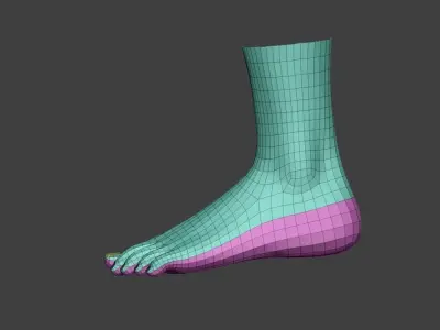realistic female foot Low-poly 3D model