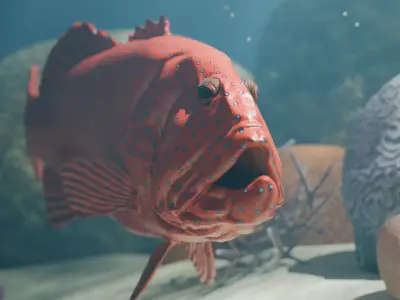 Realistic Coral Trout 3D Model Low-poly 3D model