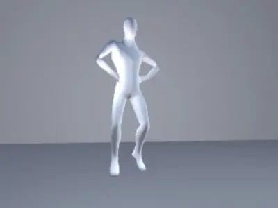 Flying Animation Pack 3D model