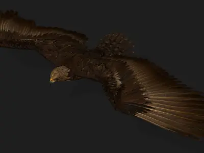 Eagle V3E 3D model