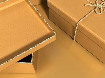 Photorealistic Cardboard Box 3D model