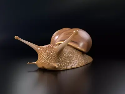 Snail PBR GameReady Model Low-poly 3D model