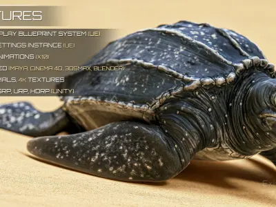 Sea Turtle - Lassie Reptile - Underwater Monster Creature - 36 Low-poly 3D model