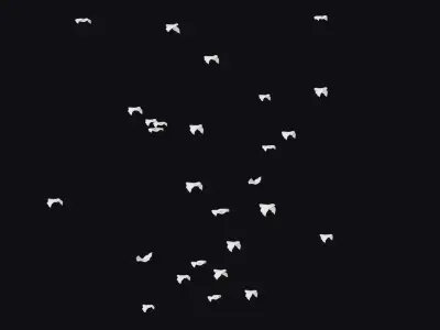 Flock White Bird Animated Swarm Dove Shoal Birds Seagull Low-poly 3D model