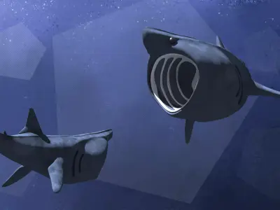 Stylized Basking Shark Low-poly 3D model