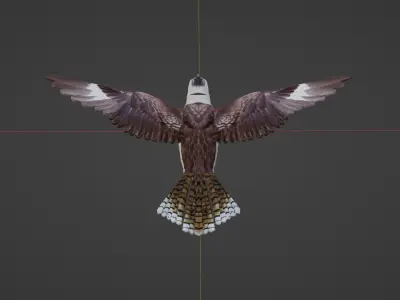 Game Ready Kookaburra with Animations Low-poly 3D model