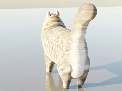 Siberian Cat Free 3D model