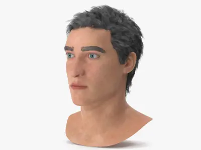 Male Head 3D model purchase