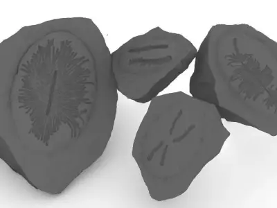 Bug Trail Fossils Free 3D print model