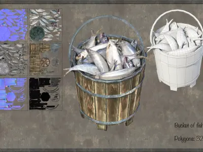 Fish Bucket  Low-poly 3D model