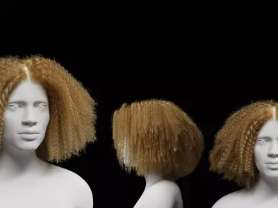 Middle Part Curls 3D model