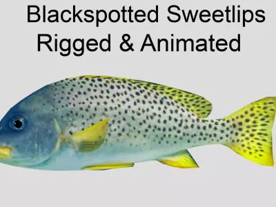 Blackspotted Sweetlips Realistic Animated Low-poly 3D model