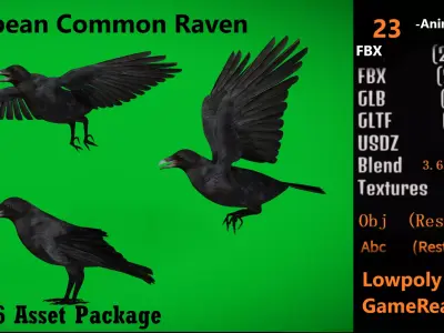 European Common Raven Bird Low-poly 3D model