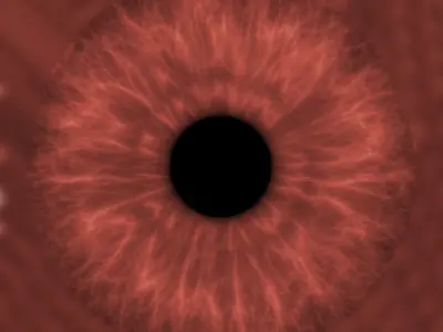 dinosaurs model textured 3D model