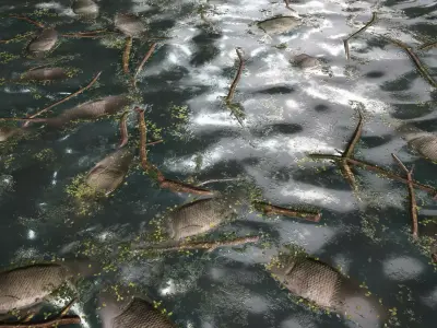 Material of dead fish in the river water Texture