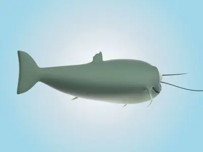 Catfish 3D model